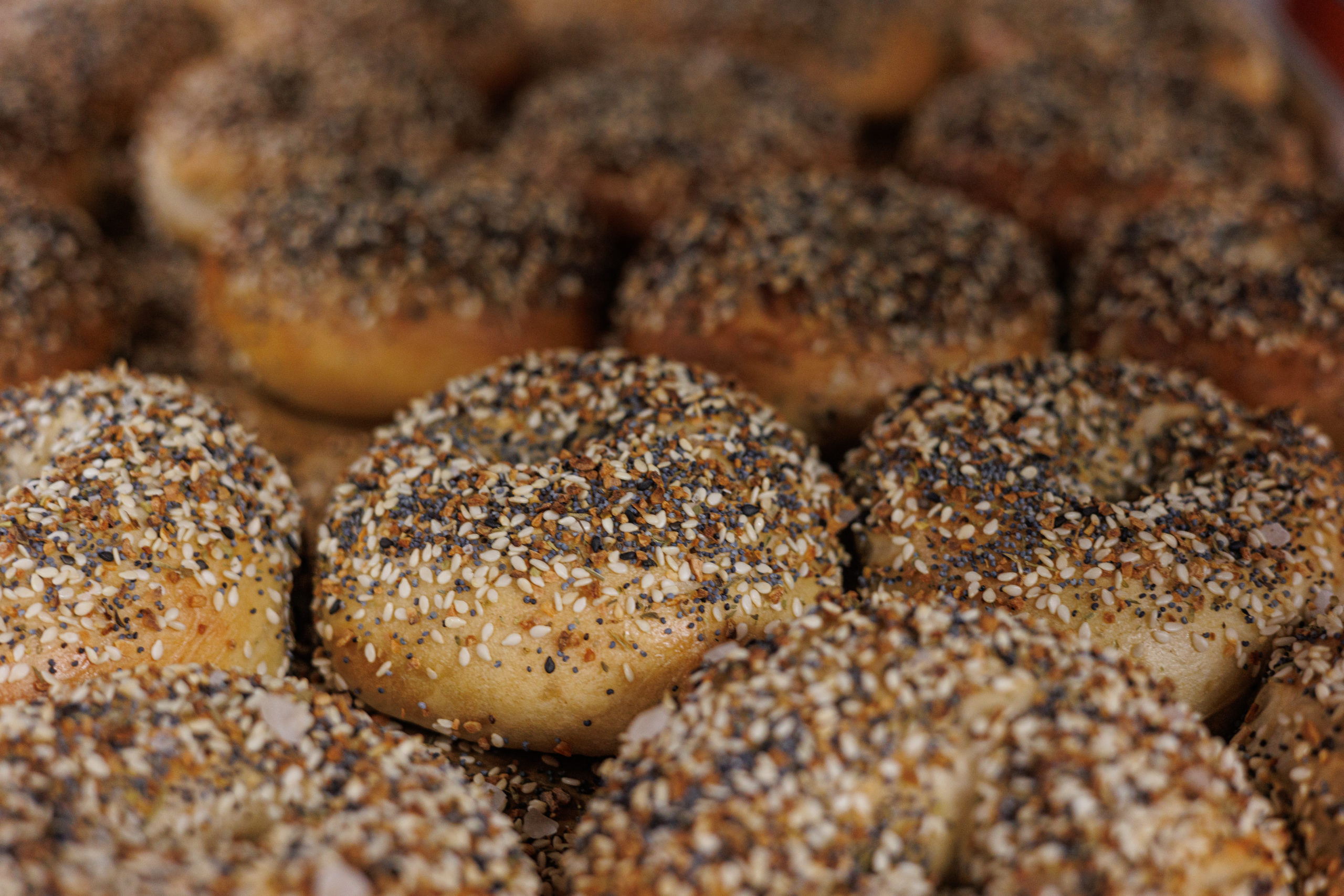 Best Bagel place