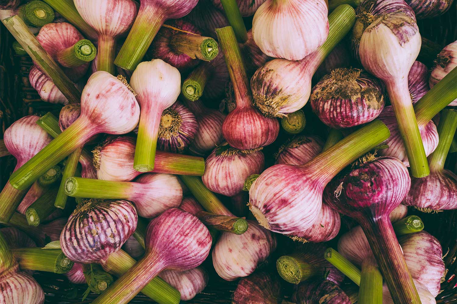 Best Farmers market