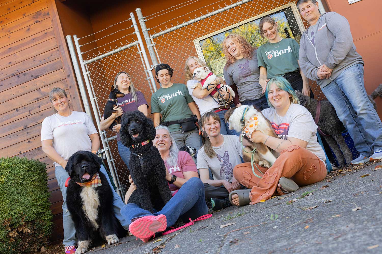 Best Dog trainer